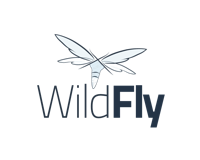 Wildfly